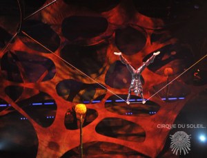 "Ovo," Copyright Cirque du Soleil 2011